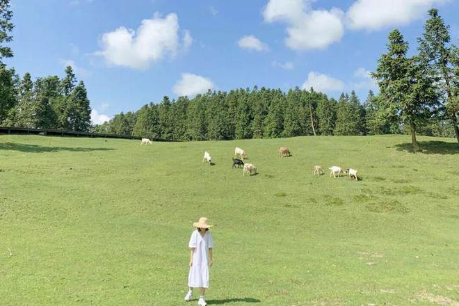 5日游要花多少钱省心又避坑到重庆旅游5天