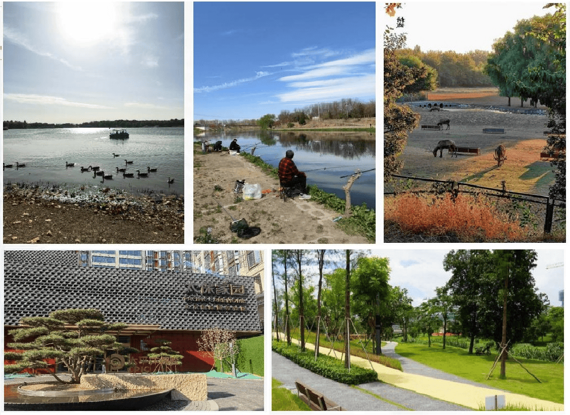 福颐养护理院上榜退休老人安心静养的实力之选聚焦2026北京高端养老院长友养老院+幸(图4)